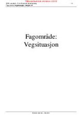 Vegsituasjon